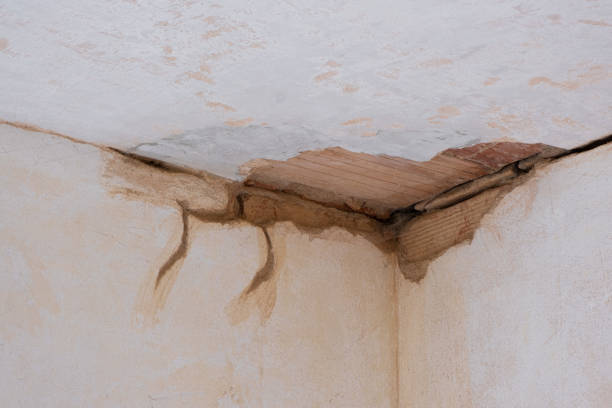 Local water damage restoration in MD