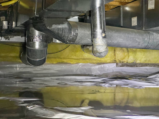 Best Flood restoration services  in Milford Mill, MD