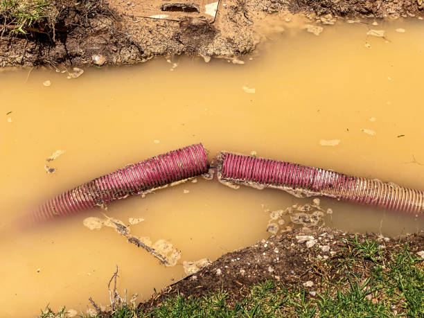 Best Residential water damage restoration  in Milford Mill, MD
